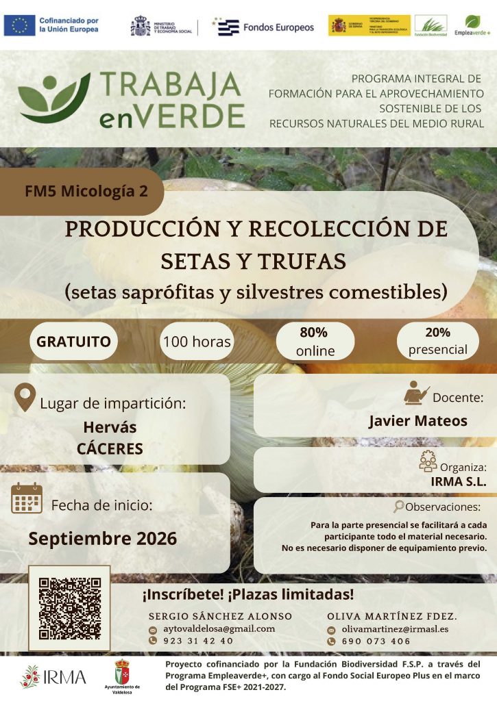 Próximos cursos gratuitos sobre setas y sobre apicultura